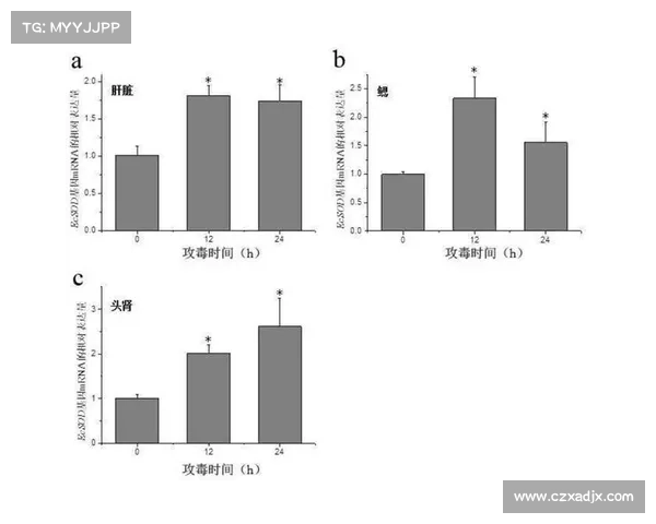 五种法术ID技能效果解析与应用研究探讨 五种法术ID技能效果解析与应用研究探讨