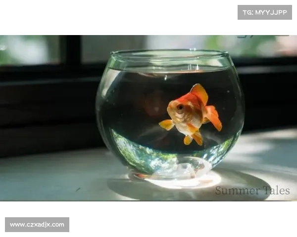 蒙犽对中国历史文化及政治思想发展的深远影响探析