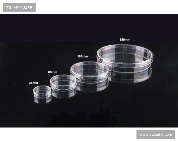 真三国无双5角色技能解析与战斗策略全方位指南 真三国无双5角色技能解析与战斗策略全方位指南