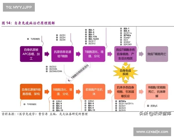 如何系统分析DK宏技术在各行业中的应用及其优化策略研究 如何系统分析DK宏技术在各行业中的应用及其优化策略研究