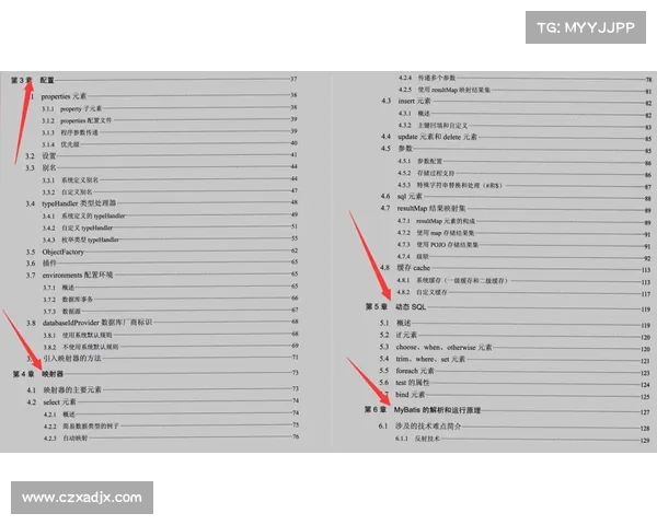 全面解析曼联传奇弗兰的关键技术特点与实战运用精要全面提升指南