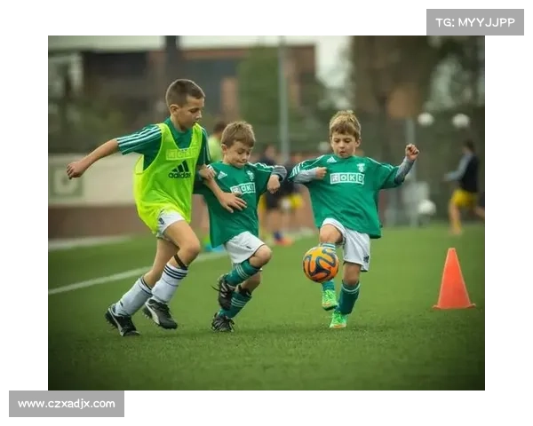 揭秘英国足总历史起源与发展历程的背后故事与影响